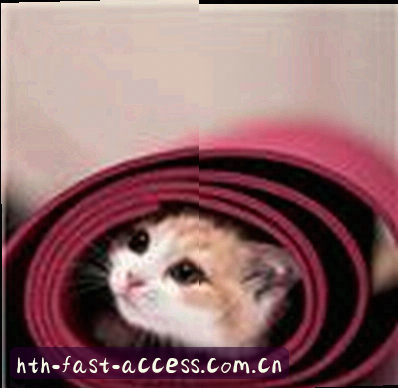 阿杰